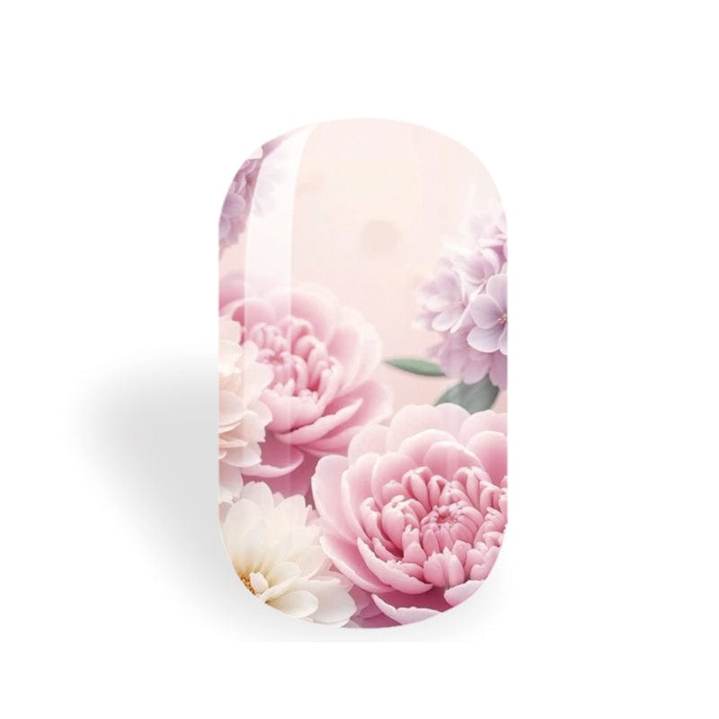 Spring Rose